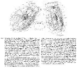 Ehrenberg, C G (1834): Physikalische Abhandlungen der Königlichen Akademie der Wissenschaften zu Berlin  